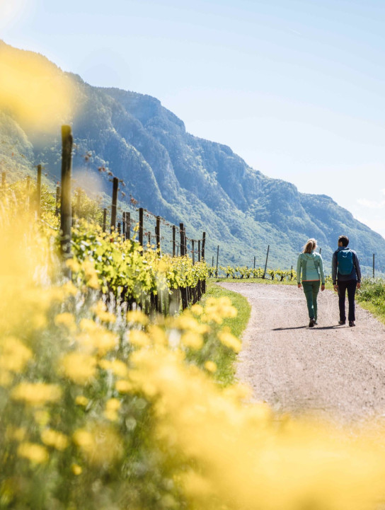 Urlaub in Kaltern in Südtirol – Hotel Römerrast in Oberplanitzing