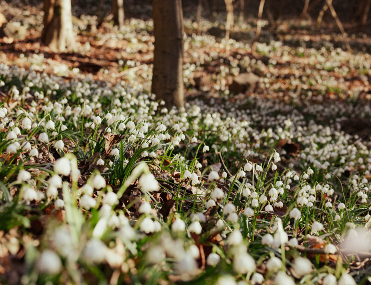 Urlaub in Kaltern in Südtirol – Hotel Römerrast in Oberplanitzing