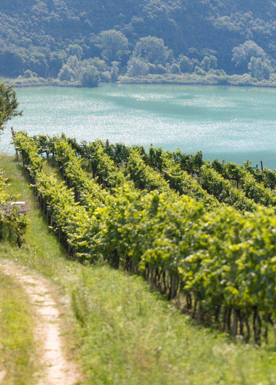 Urlaub in Kaltern in Südtirol – Hotel Römerrast in Oberplanitzing