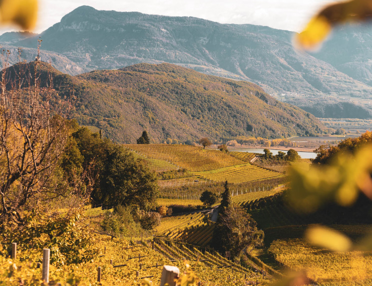 Urlaub in Kaltern, Bozen und Umgebung - Hotel Römerrast