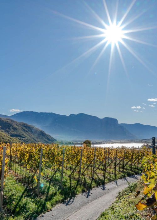 Urlaub in Kaltern, Bozen und Umgebung - Hotel Römerrast