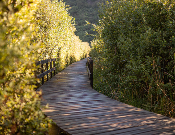 Urlaub Kaltern, Südtirol – Hotel Römerrast, Zimmer & Pool