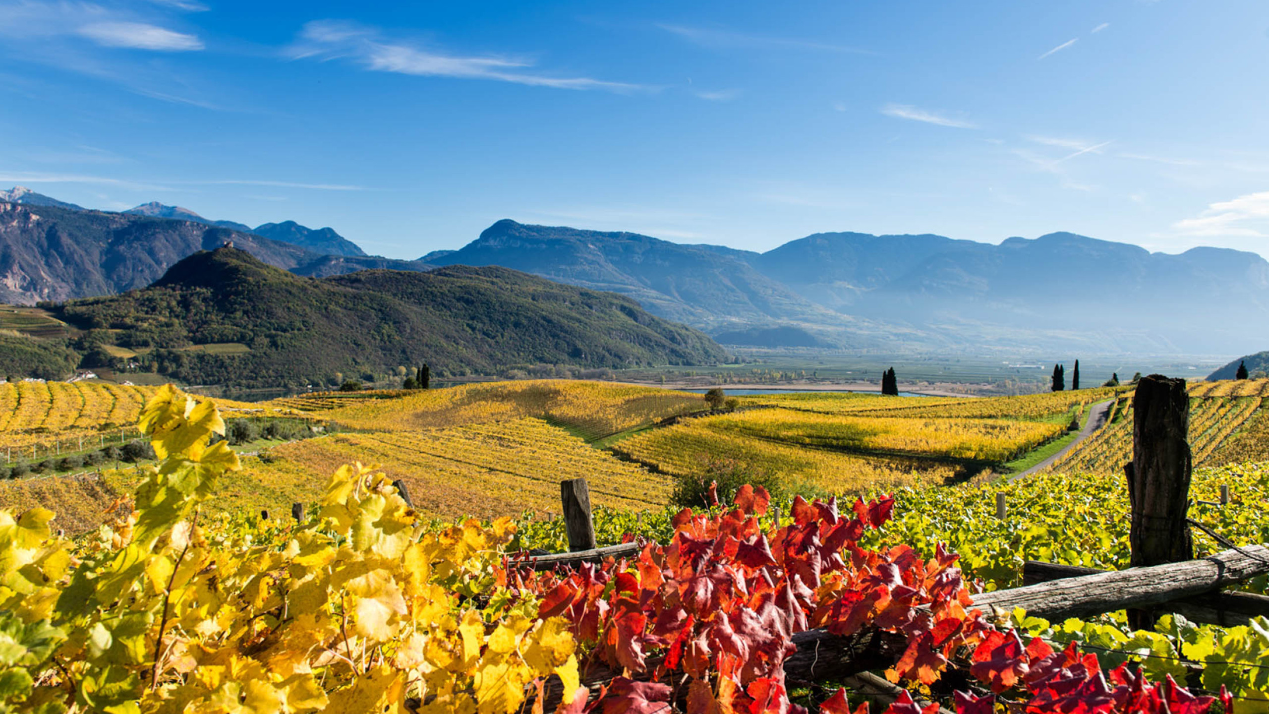 Urlaub in Kaltern, Bozen und Umgebung - Hotel Römerrast