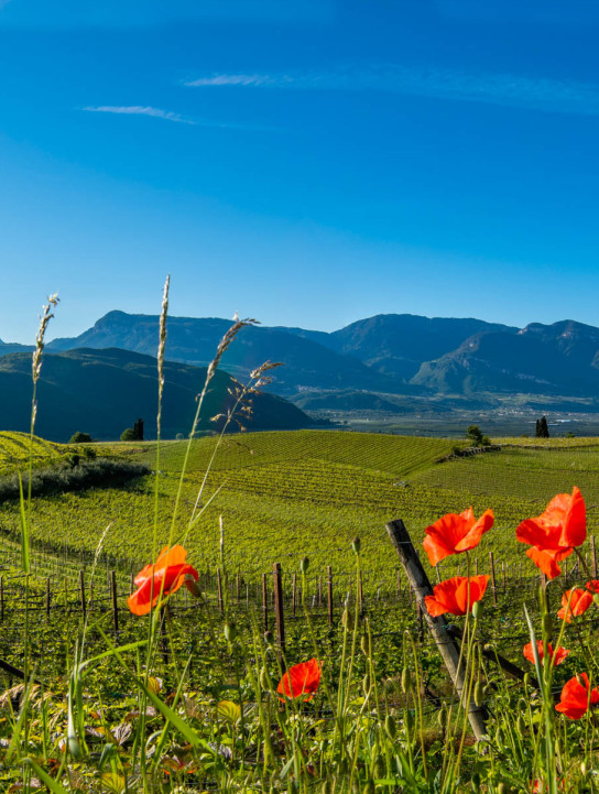 Urlaub in Kaltern in Südtirol – Hotel Römerrast in Oberplanitzing