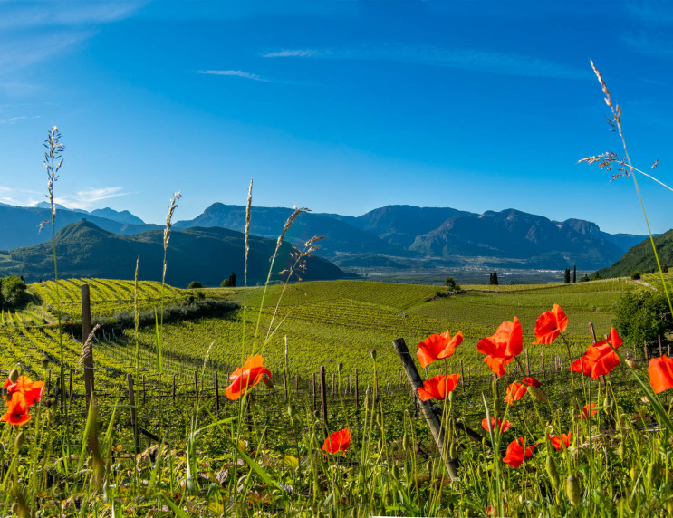 Urlaub in Kaltern in Südtirol – Hotel Römerrast in Oberplanitzing